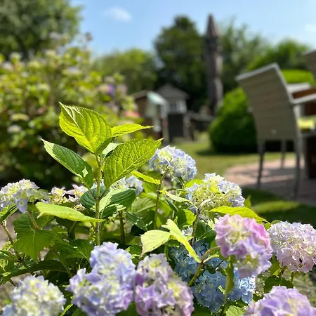 Boutiquehotel Seiler Hof Hotel Keitum