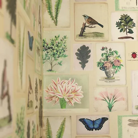 Boutiquehotel Seiler Hof 3* 凯图姆