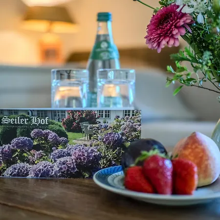 Hotel Boutiquehotel Seiler Hof 3*