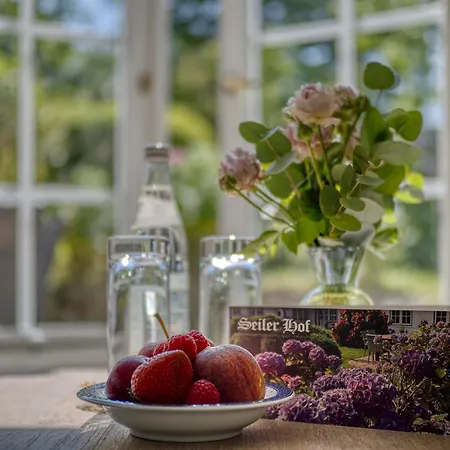 Boutiquehotel Seiler Hof 3*