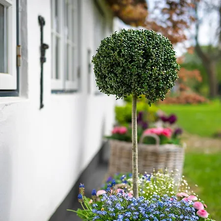 Hotel Boutiquehotel Seiler Hof Keitum